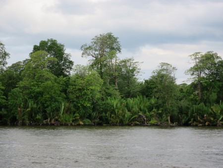 クマイからタンジュン・ハラパン村へ船で行く途中１